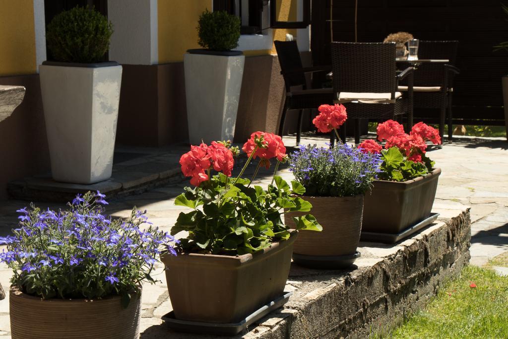 Pension Alte Muehle Gmünd Kültér fotó