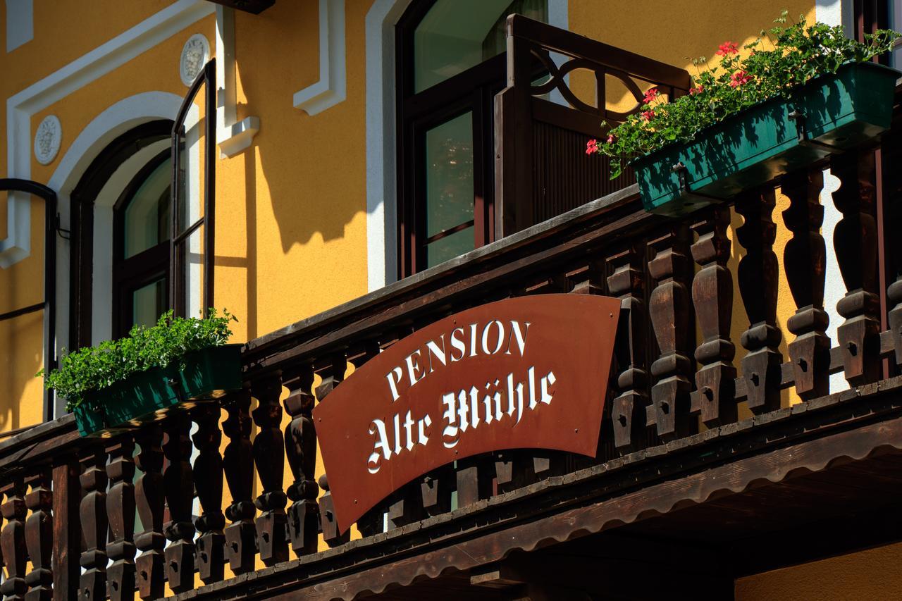 Pension Alte Muehle Gmünd Kültér fotó