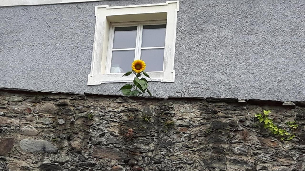 Pension Alte Muehle Gmünd Kültér fotó